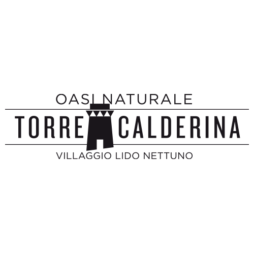Logo Torre Calderina